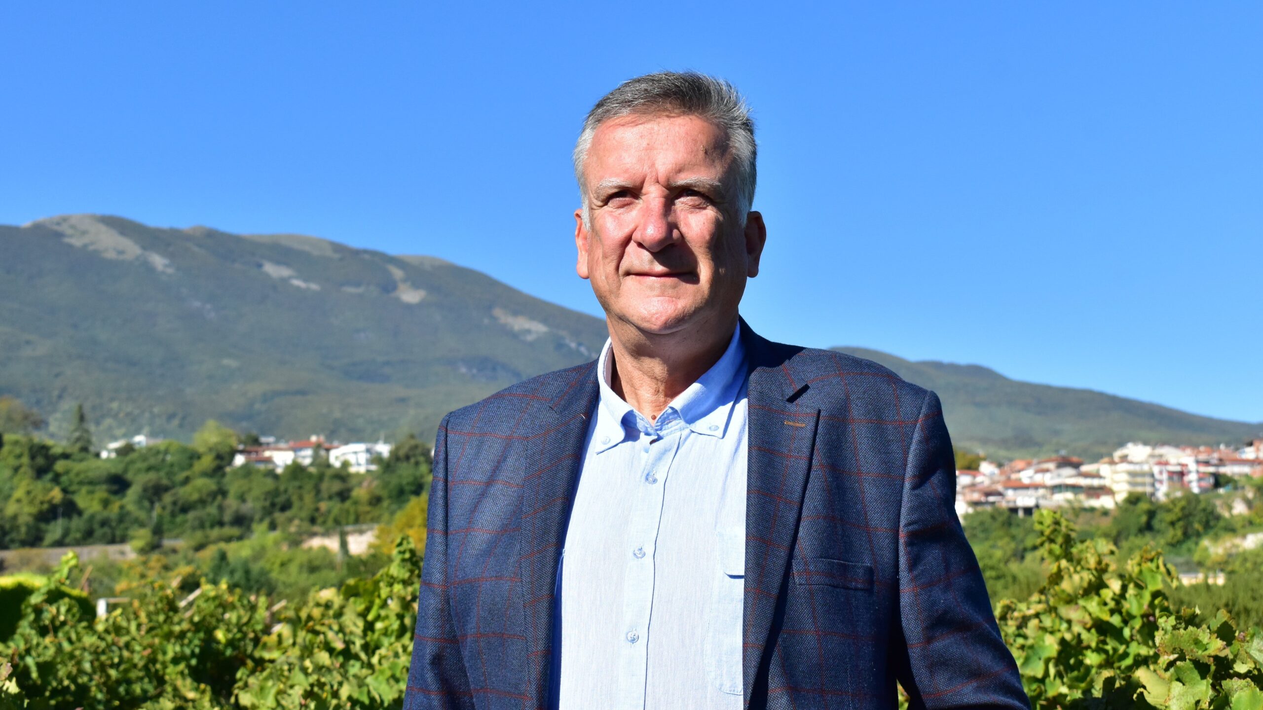 ΓΡΗΓΟΡΗΣ ΝΙΚ. ΜΑΡΚΟΒΙΤΗΣ